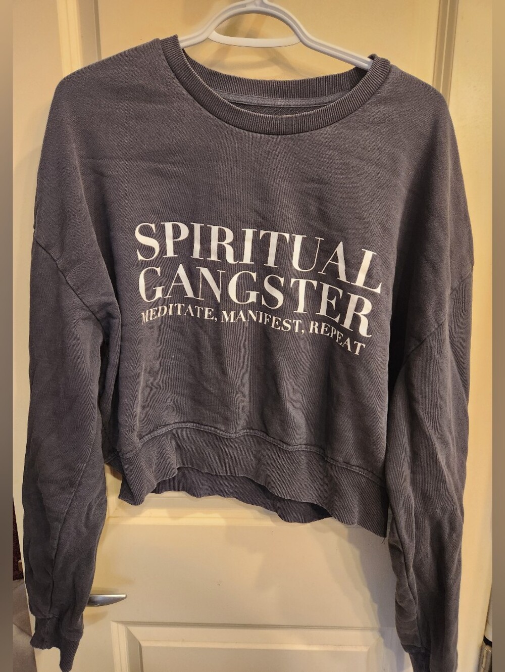 Spiritual Gangster Cropped Crewneck Sweatshirt in Slate